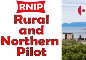 RNIP 农村及北部地区试点计划